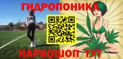 крисы Будённовск