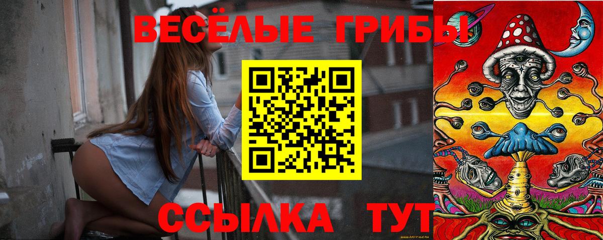 Псилоцибиновые грибы GOLDEN TEACHER Учалы